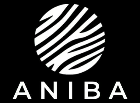 Aniba Digital